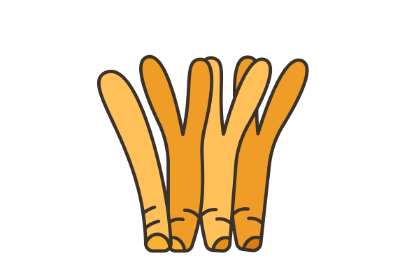 Alt image
